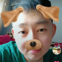 八尾猫