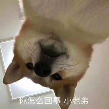 李渣渣