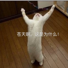 静若婉然