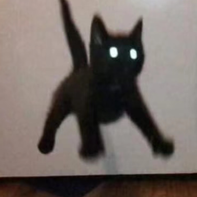 夜木