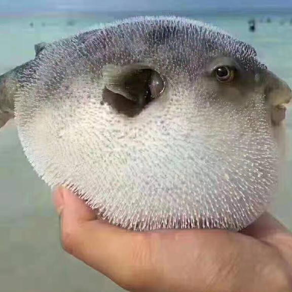 随心而爱